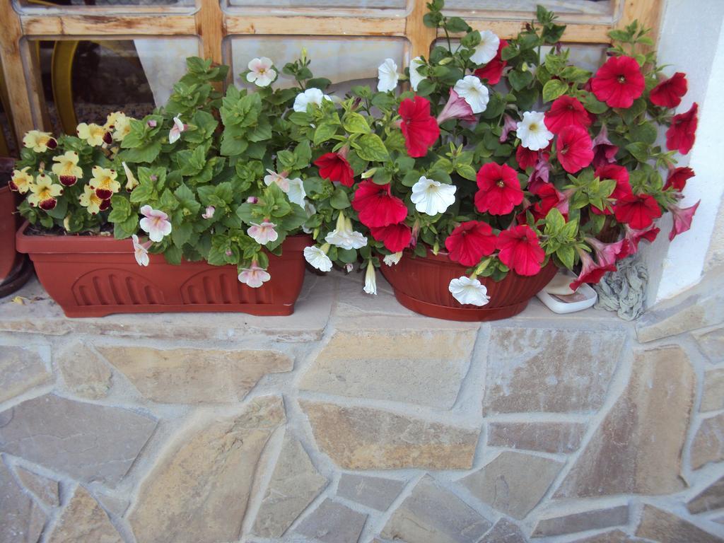 Amfora Guest House Byala  Exterior photo
